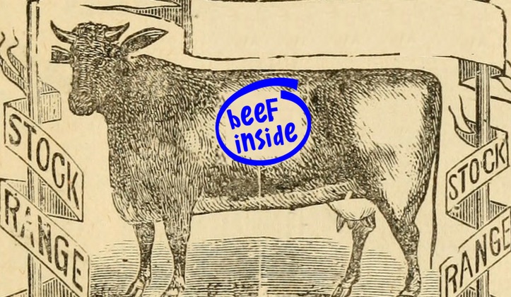 old school beef cattle