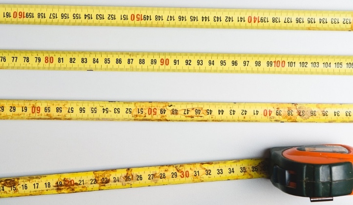 rulers in a line