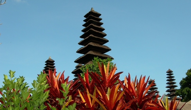 The Digital Nomad: an Infographic from Bali